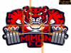 Prezerať mimon_fc_t1.png