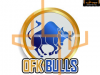 Prezerať ofk_bulls_t1_1.png